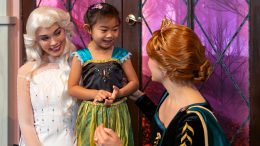 Anna and Elsa character meet and greet