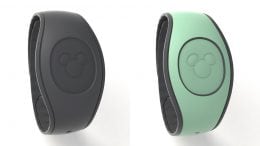 Mint Green and Dark Grey MagicBand