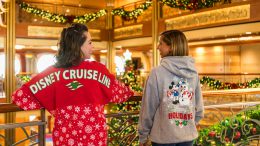 Disney Cruise Line Holiday Merchandise