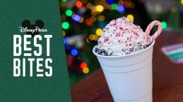 Disney Parks Best Bites: December 2019