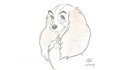 Drawing of Lady from "Lady and the Tramp"