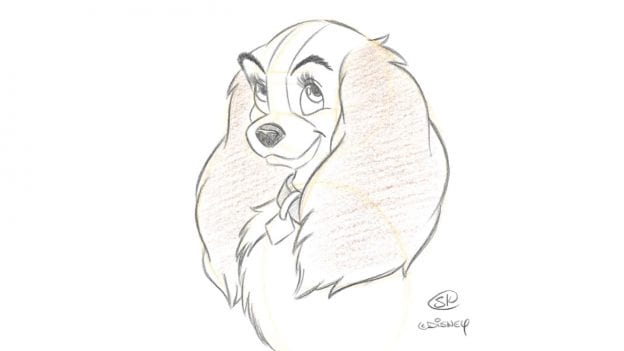 Drawing of Lady from "Lady and the Tramp"