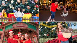 Holiday Photo Ops by Disney PhotoPass at Walt Disney World Resort