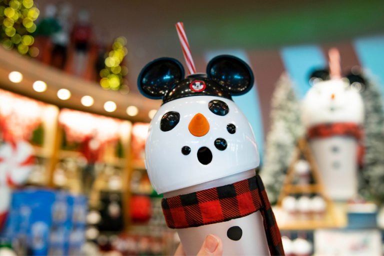 Last Minute Disney Gift Ideas for Florida Residents Disney Parks Blog