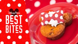 Disney Parks Best Bites: February 2020