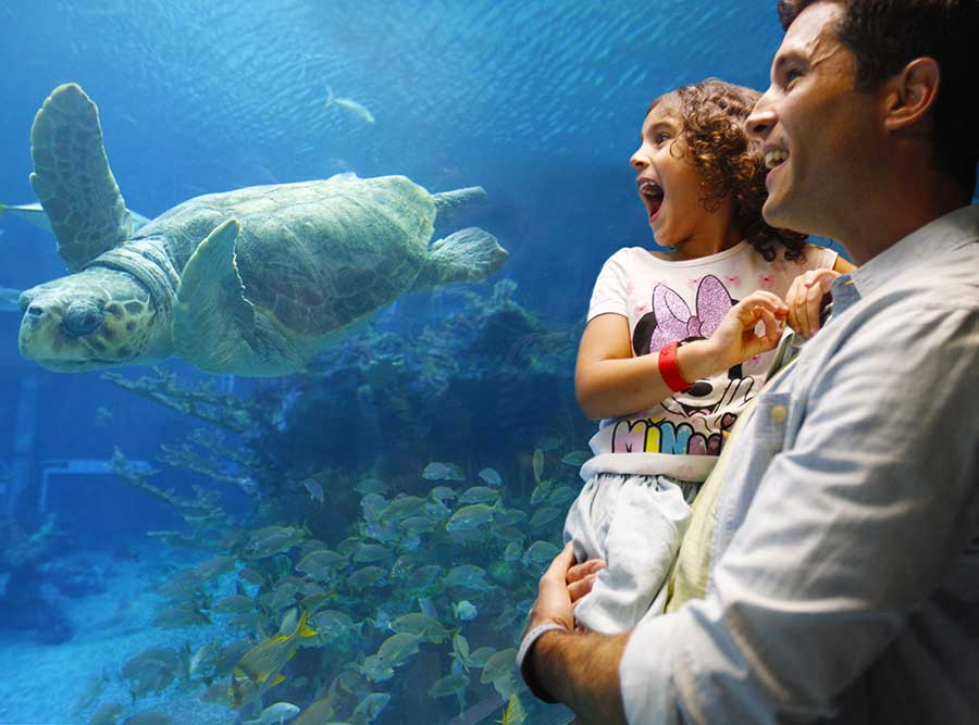 Guests learning more about our friends under the sea, Walt Disney World Resort.