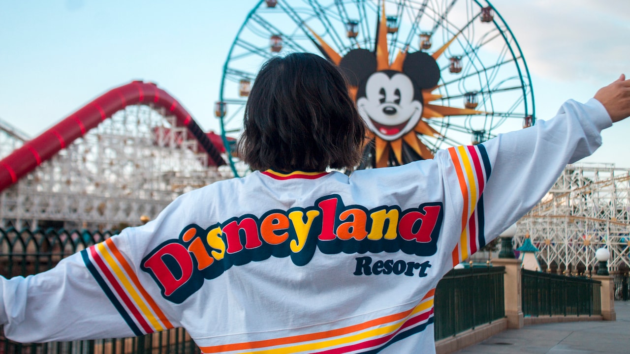 Disneyland Disney Princesses Jogger Sweat Pants & Zip Up Sweater