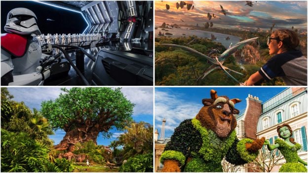 Collage of Walt Disney World experiences