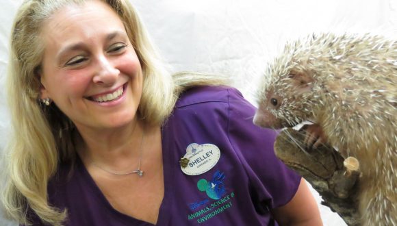 Shelly and the Porcupette at Disney's Animal Kingdom