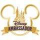 Disney Ambassador Team