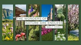 Spectacular Colors of Spring at Disney Parks Around the World