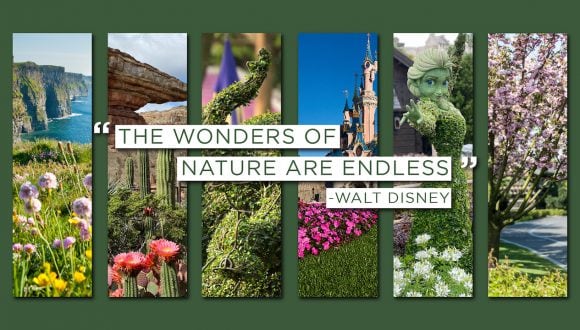 Spectacular Colors of Spring at Disney Parks Around the World