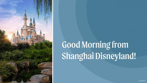 Sun Shines on Shanghai Disney Resort