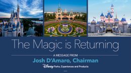 The Magic is Returning graphic