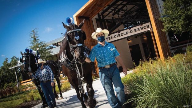 Animal care team and horses at new Tri-Circle D Ranch at Disney’s Fort Wilderness Resort & Campground