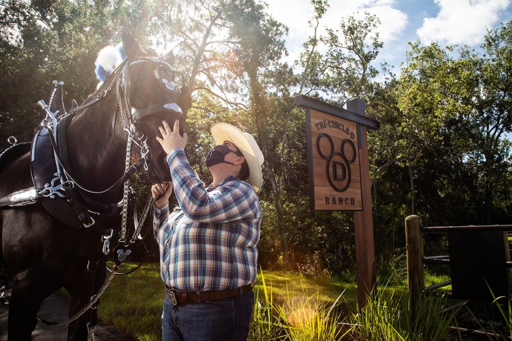 Celebrating the New Tri-Circle-D Ranch, Home to Heritage and Happy Horses 