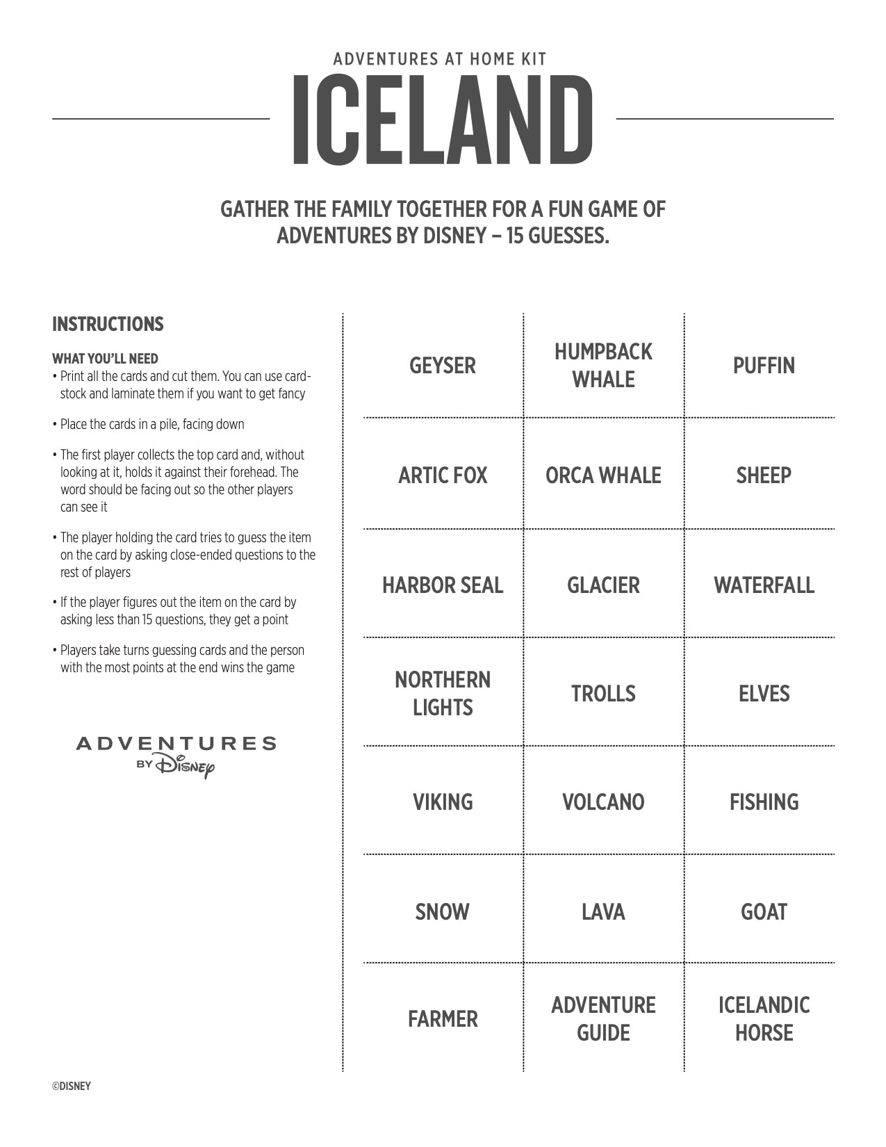 Adventures at Home Iceland Game