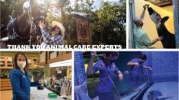 Thank You Animal Care Experts