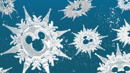 Mickey snowflakes