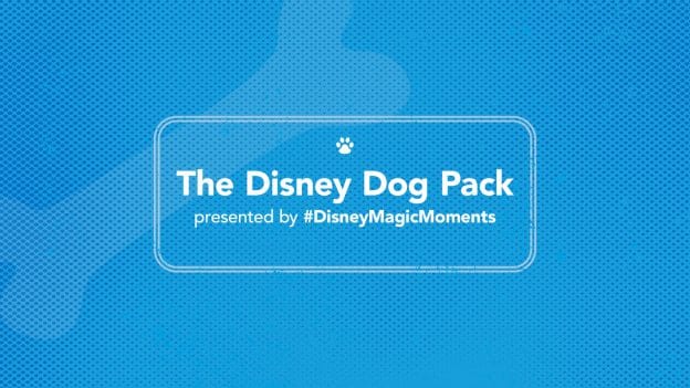 The Disney Dog Pack presented by #DisneyMagicMoments