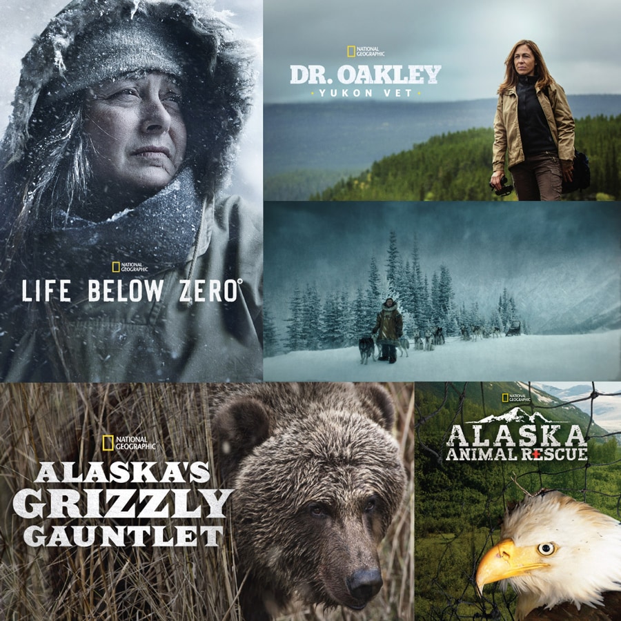 Disney+ Alaska Playlist featuring Togo, Life Below Zero, Alaska’s Grizzly Gauntlet, Dr. Oakley, Yukon Vet and Alaska Animal Rescue