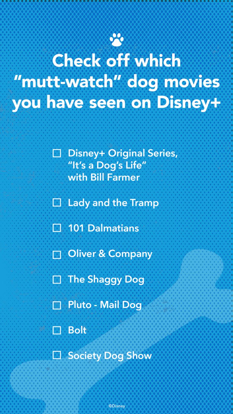 DisneyMagicMoments UltiMutt Disney Dog Pack of Activities on