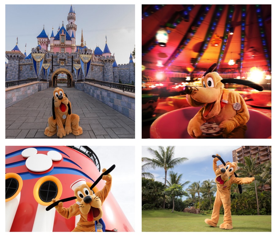 Collage of Pluto at Disney Parks