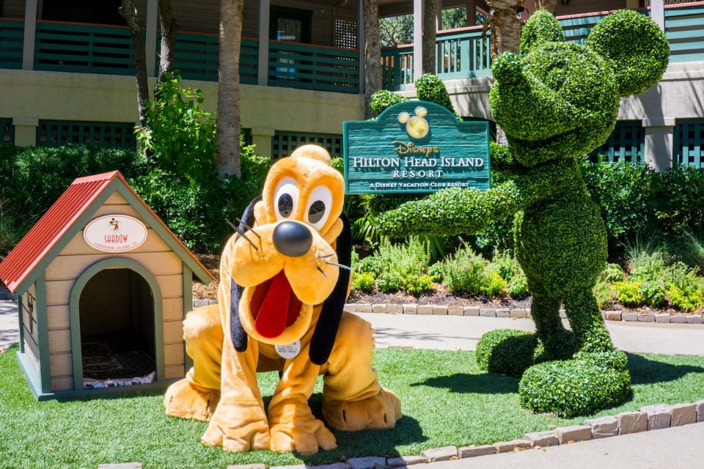 Pluto at Disney’s Hilton Head Resort