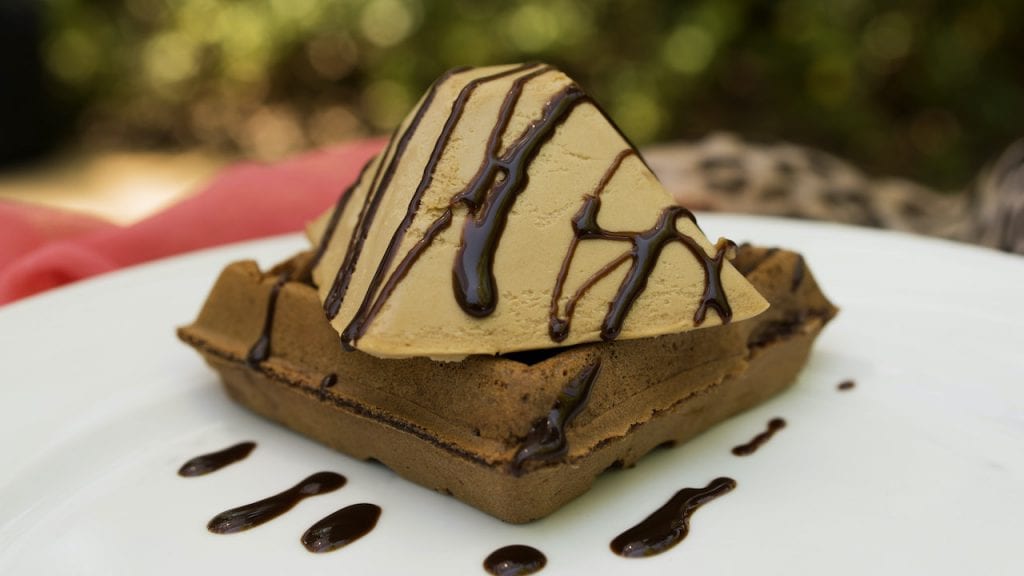 Chocolate Waffles with Espresso Frozen Mousse From Tamu Tamu Refreshments at Disney’s Animal Kingdom