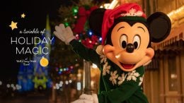 A Twinkle of Holiday Magic at Walt Disney World Resort - Mickey Mouse at Magic Kingdom Park