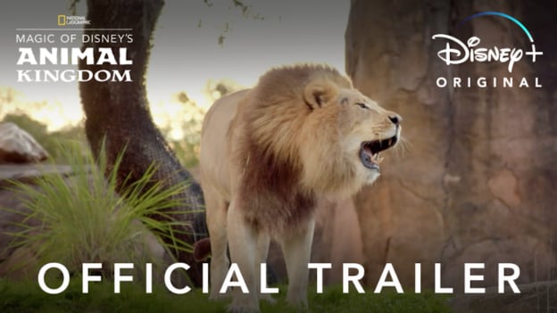 'Magic of Disney’s Animal Kingdom' Official Trailer