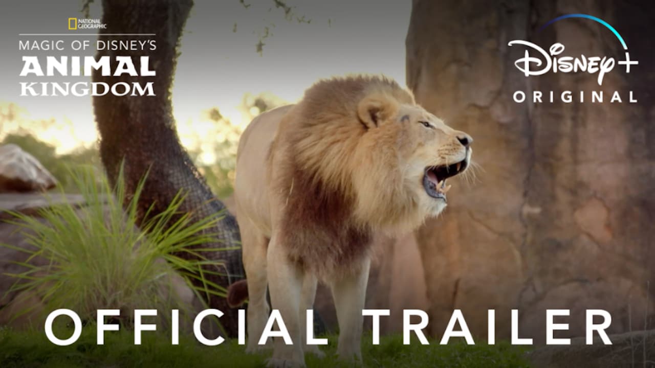 Magic of Disney's Animal Kingdom' Official Trailer Offers Sneak Peek at  Series | Disney Parks Blog