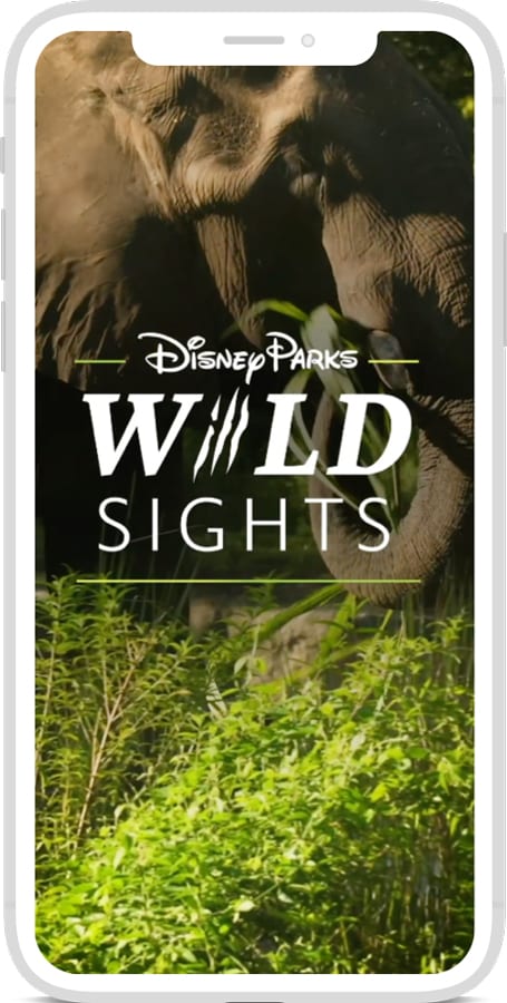 Meet the Residents of Disney’s Animal Kingdom in New ‘Disney Parks Wild Sights’ Video Series Disney Parks Wild Sights” Video Series   