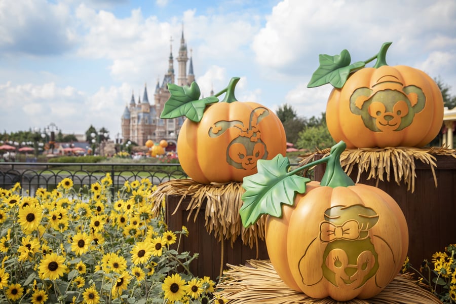 Pumpkins at Shanghai Disney Resort