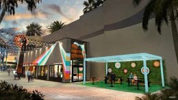 Everglazed Donuts & Cold Brew Coming Soon to Disney Springs
