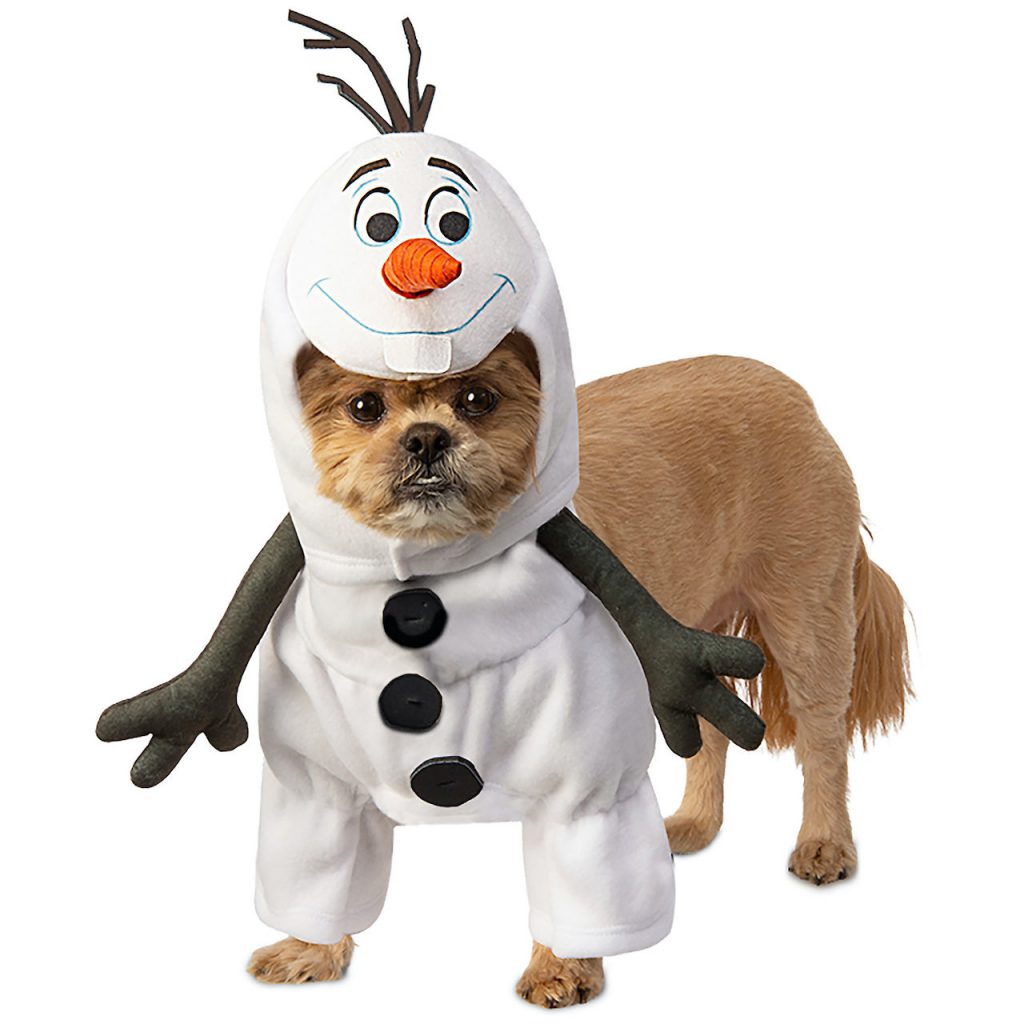 Dog in an Olaf Halloween costume