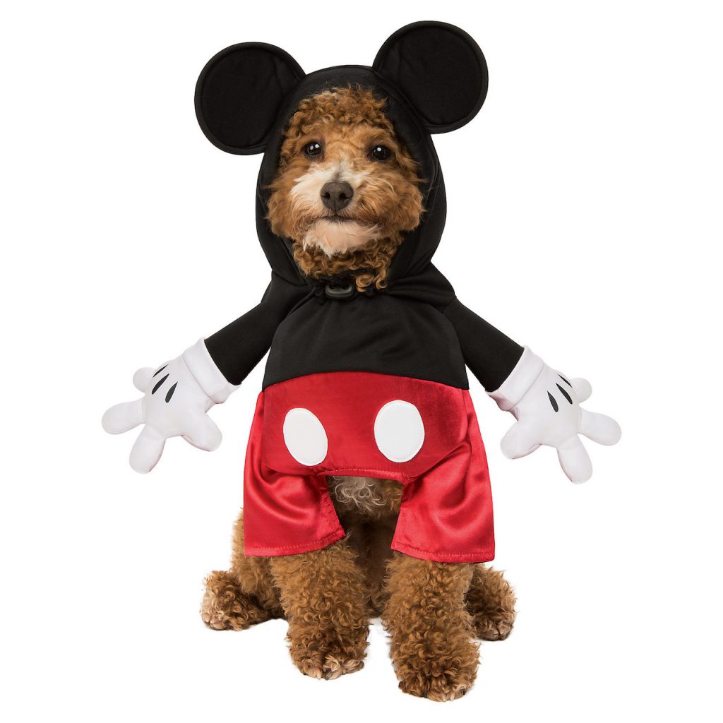 Dog in a Mickey Mouse halloween costume