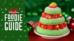 Foodie Guide to Holiday Treats at Magic Kingdom Park