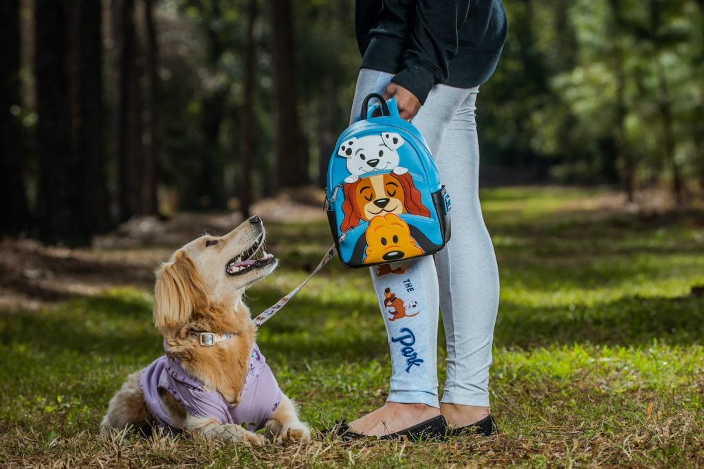 Fetch Disney Parks Reigning Cats and Dogs Collection Coming Soon
