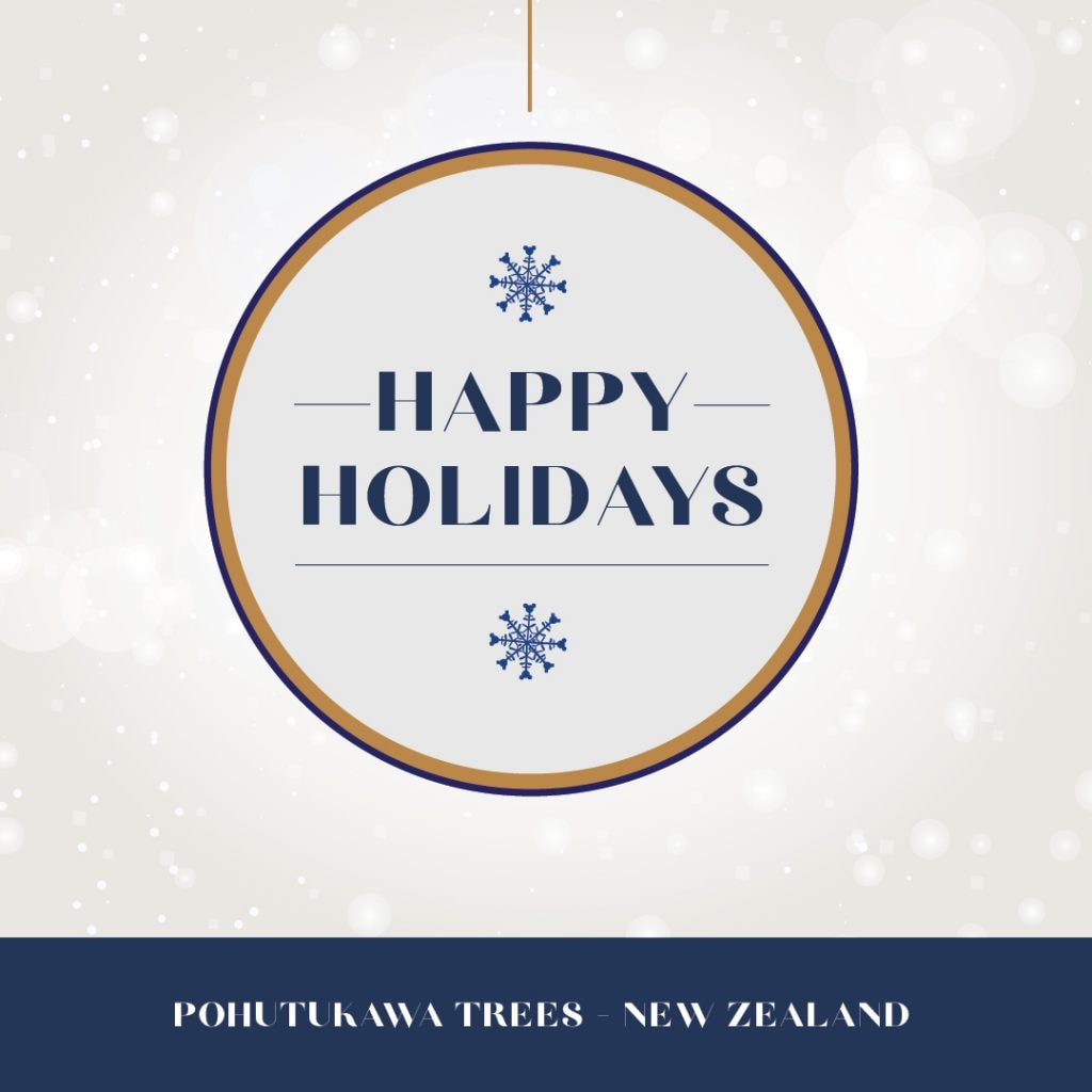 Happy holidays from New Zealand graphic