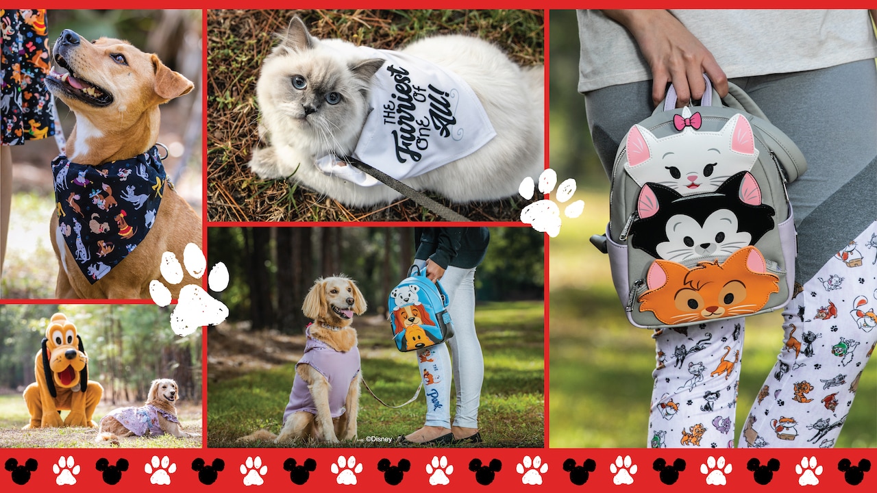 Fetch Disney Parks Reigning Cats and Dogs Collection Coming Soon