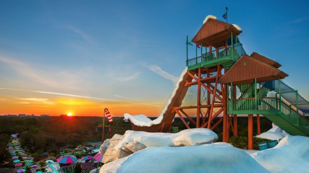 Summit Plummet at Disney's Blizzard Beach Water Park