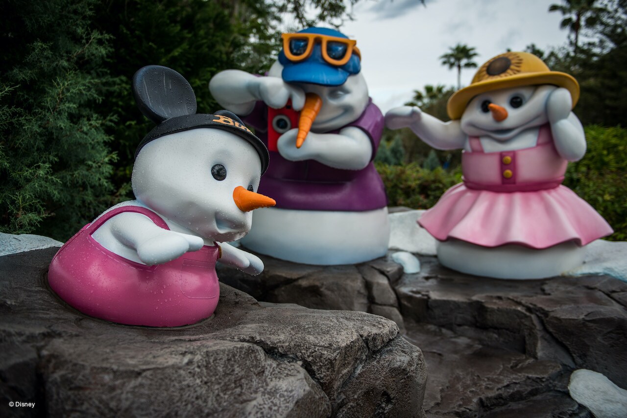 Disney's Blizzard Beach Water Park