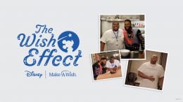 Julius - The Wish Effect