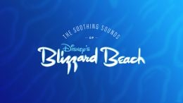 The Soothing Sounds of Disney's Blizzard Beach