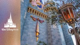 Cinderella Castle at Magic Kingdom Park - Walt Disney World Resort 50th Anniversary