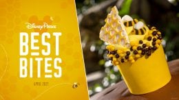 Disney Parks Best Bites graphic with Honey Bee Cupcake