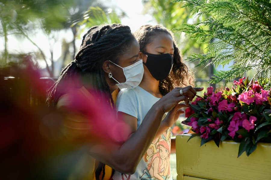 Flowers along the Health Full Trail presented by AdventHealth at Taste of EPCOT International Flower & Garden Festival
