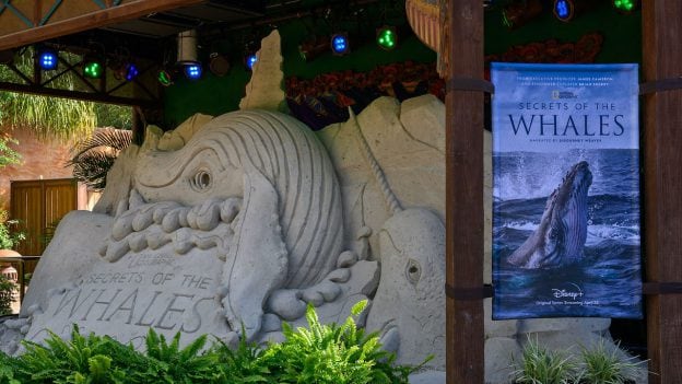 'Secrets of the Whales' Sand Sculpture at Disney's Animal Kingdom