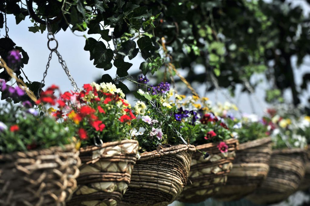 Flower planters at Disney